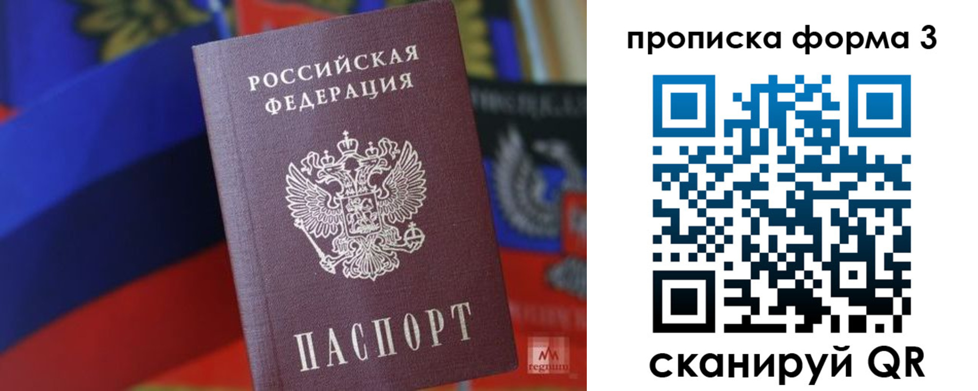 найти адрес прописки в Тольятти