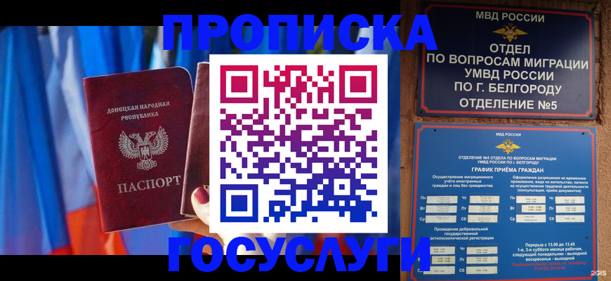 прописка паспорт в Тольятти